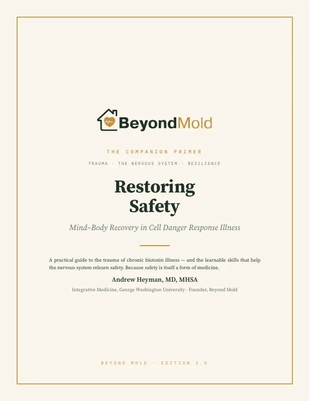 Restoring Safety
