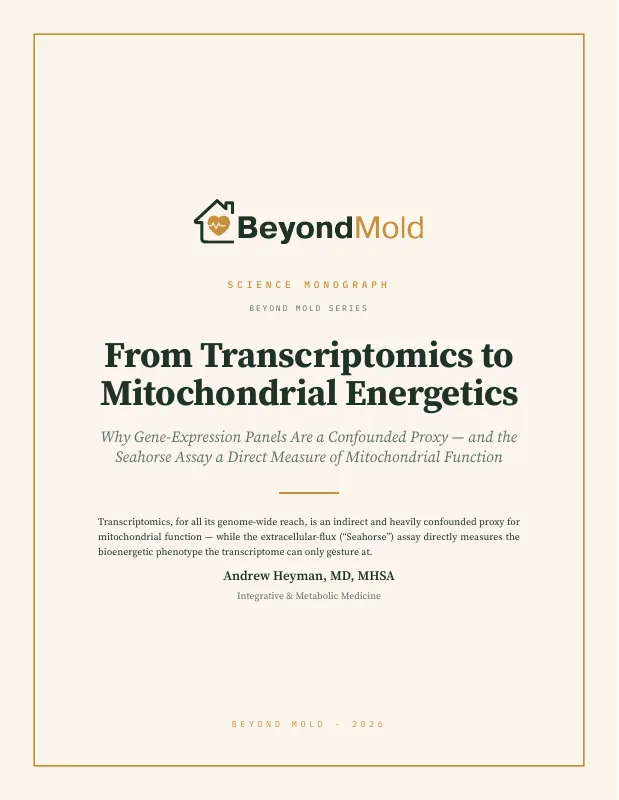 From Transcriptomics to Mitochondrial Energetics