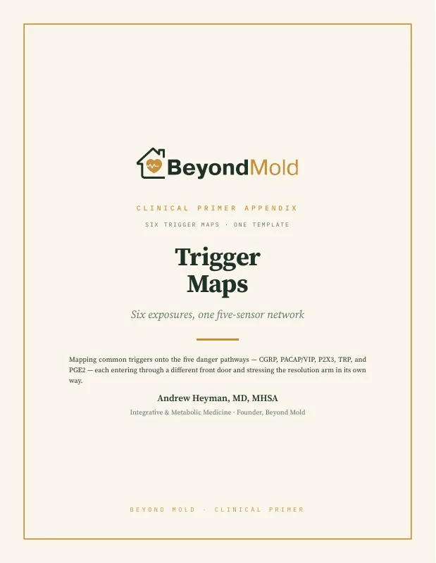 Trigger Maps